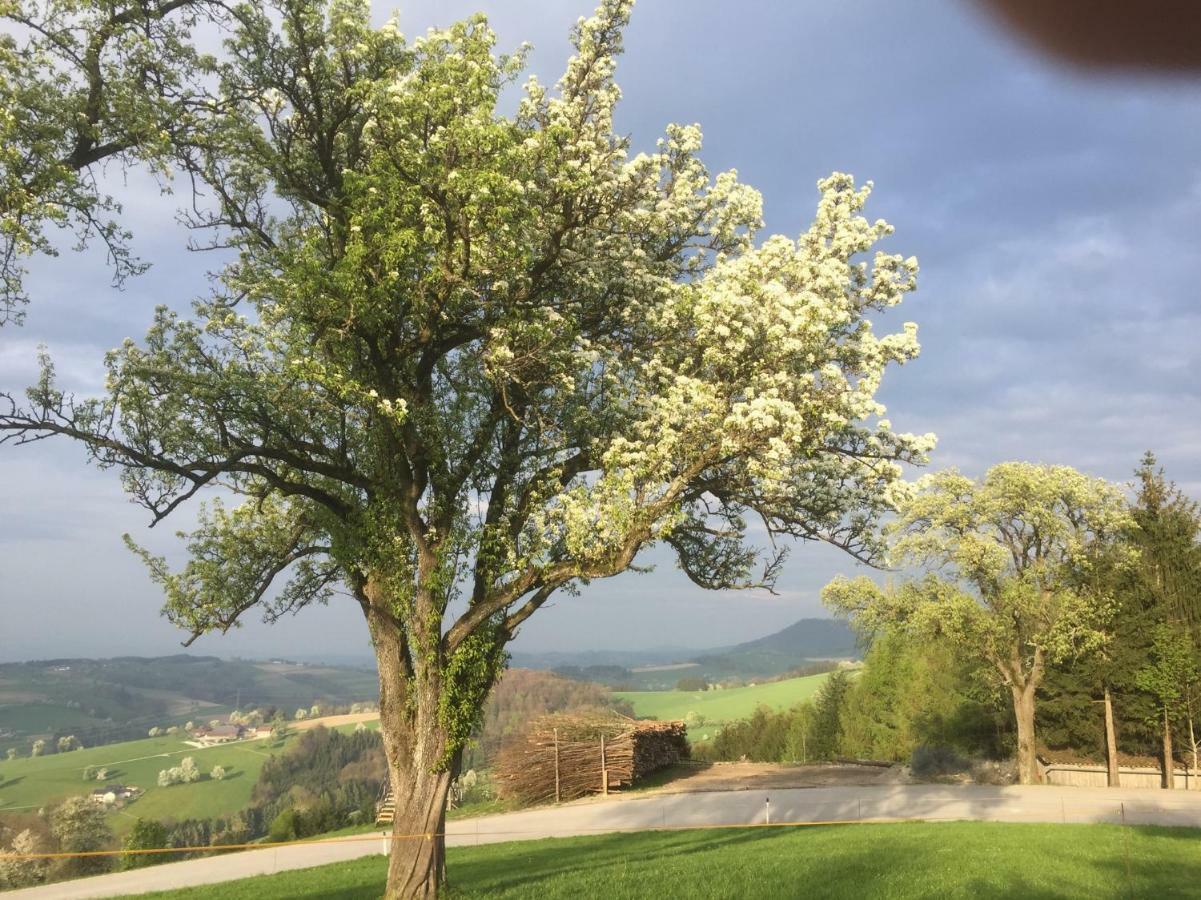 Ferienwohnungen Kössl Waidhofen an der Ybbs Exterior foto