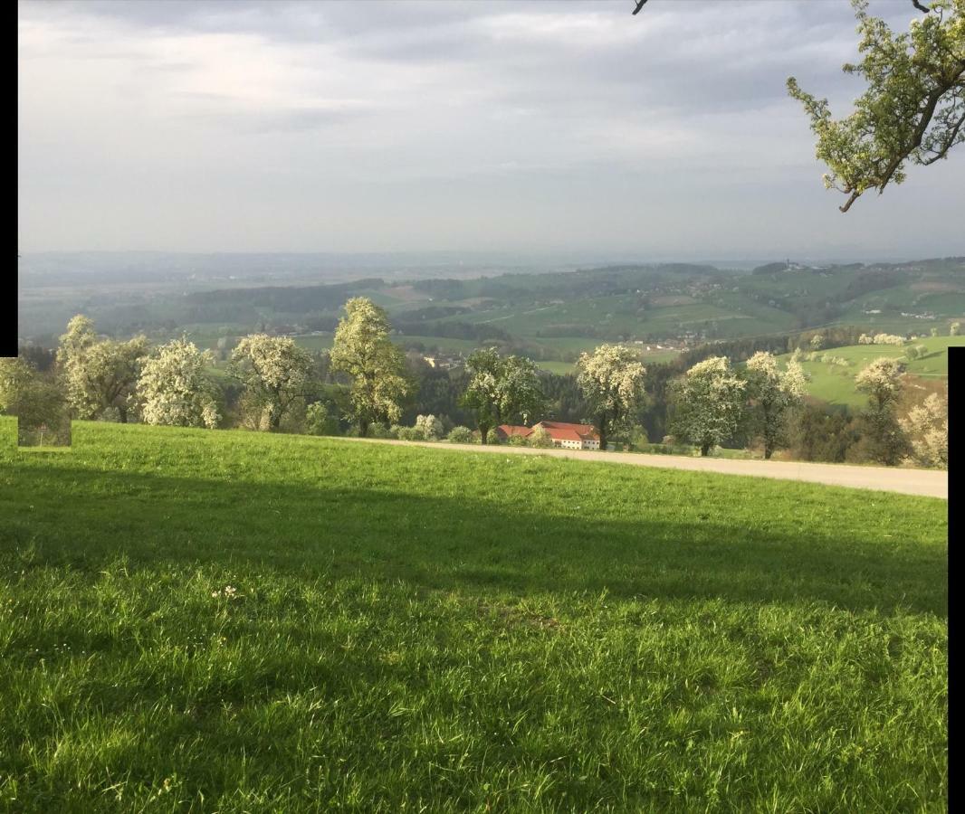 Ferienwohnungen Kössl Waidhofen an der Ybbs Exterior foto