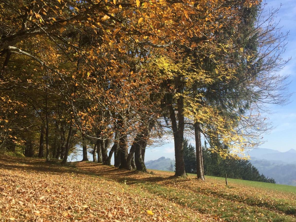 Ferienwohnungen Kössl Waidhofen an der Ybbs Exterior foto