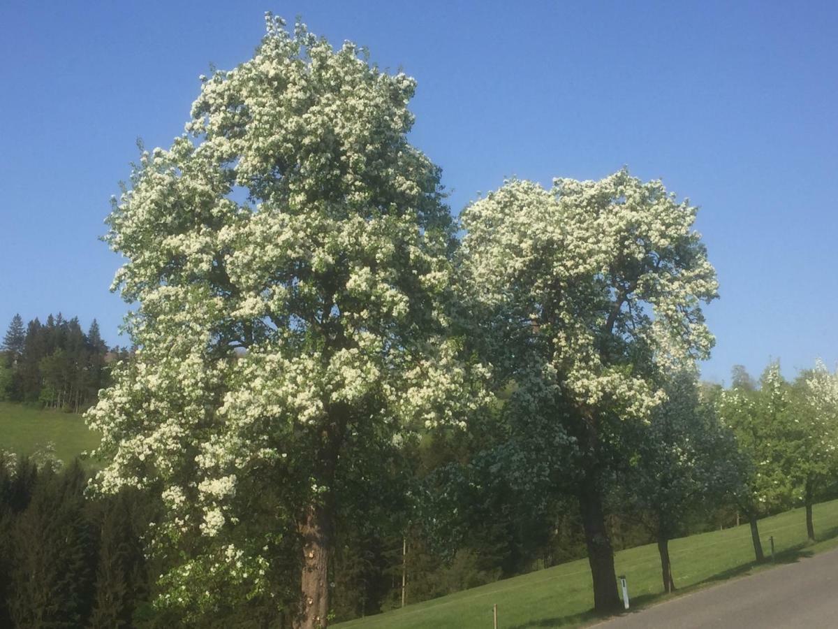Ferienwohnungen Kössl Waidhofen an der Ybbs Exterior foto