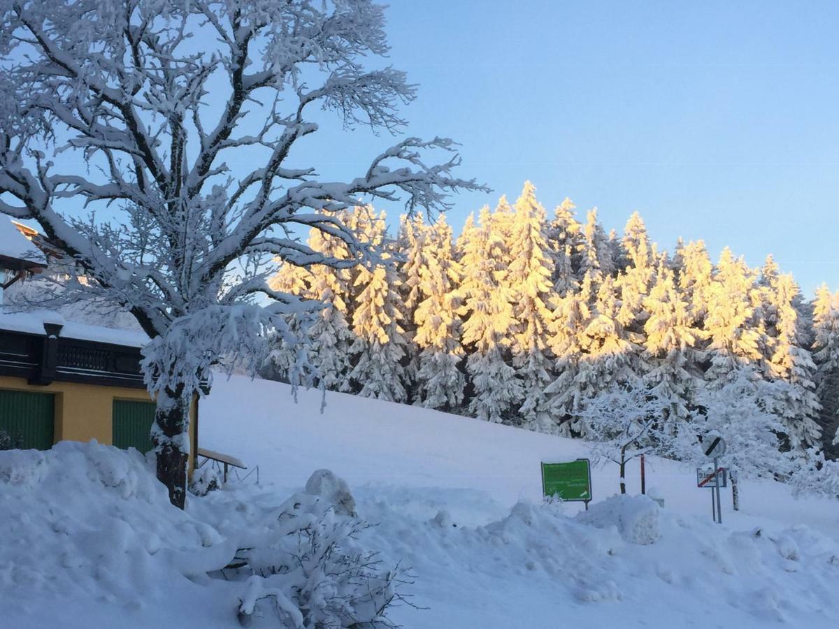 Ferienwohnungen Kössl Waidhofen an der Ybbs Exterior foto